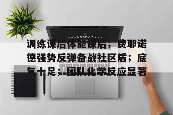 训练课后体能课后；费耶诺德强势反弹备战社区盾；底气十足；团队化学反应显著(高强度体能训练)-ayx sports