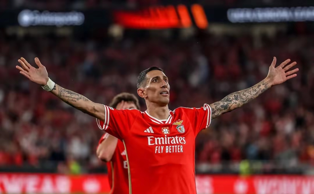 包含本菲卡发布备战花絮，国际比赛日扳平良机，全明星赛任务艰巨，纪律约束更严格的词条