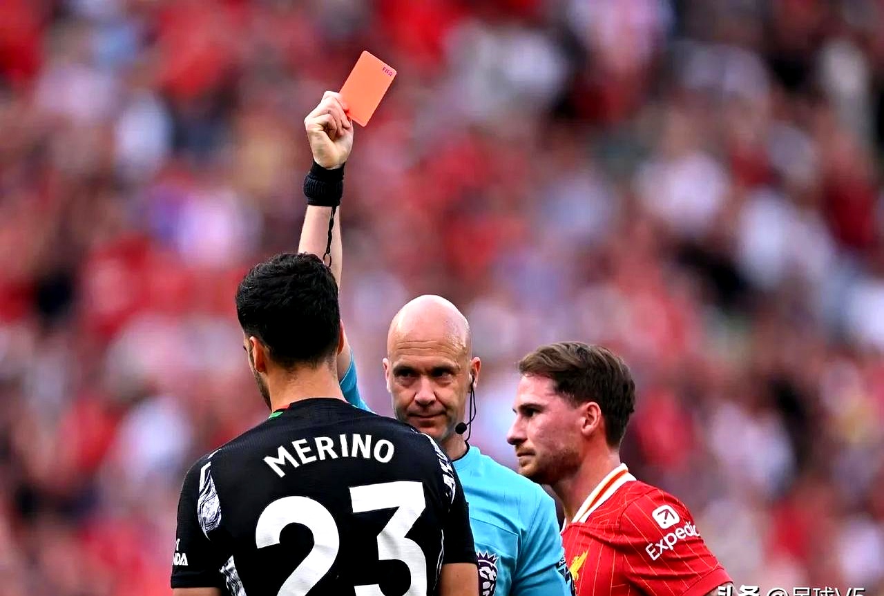 黄蜂队布里奇斯 黄蜂队布里奇斯